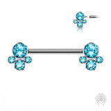 Bezel-Set CZ Cluster Int. Threaded Titanium Nipple Barbell (4 colors)