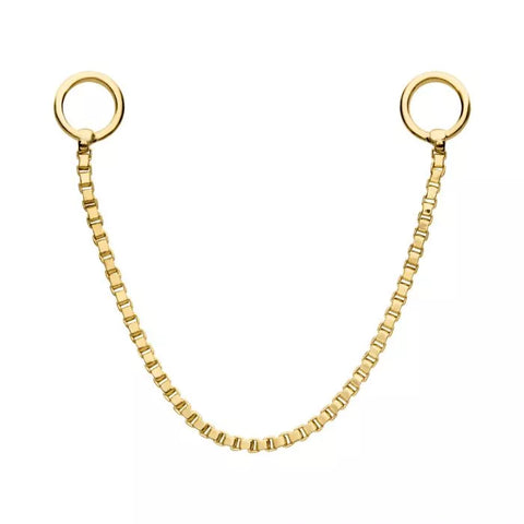 14K Gold Box Nose Chain (7 lengths)