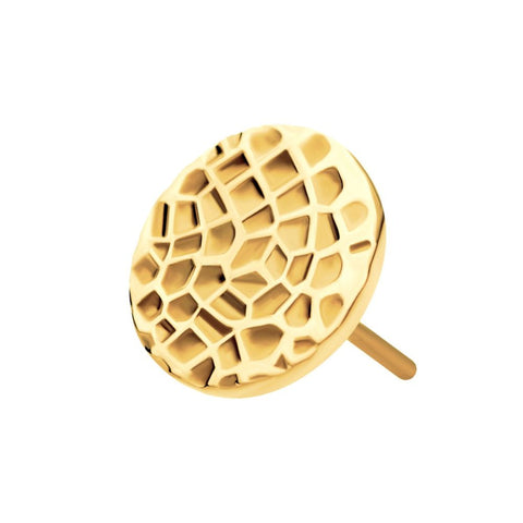 24kt Gold PVD Titanium Hammered Disk Threadless Top