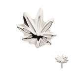 Titanium Pot Leaf Threadless End