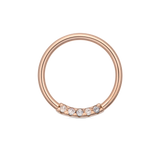 14kt Gold Fixed Gem Hinged Segment Ring