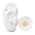 24kt Gold PVD Titanium Hammered Disk Threadless Top