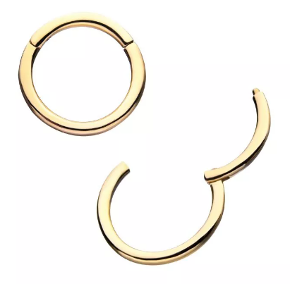 14K Gold Basic Hinged Cliker (3 colors)