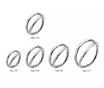 Titanium Double Hoop Clicker