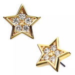 14K Gold Threadless Star Shape CZ Top