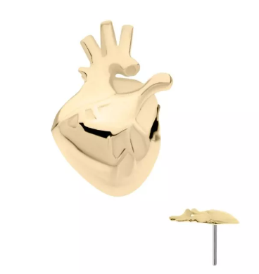 14K Gold Threadless Anatomical Heart Top
