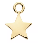 14K Gold Star Charm