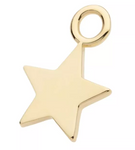 14K Gold Star Charm