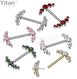 5-CZ Curve CZ Cluster Titanium Nipple Barbell (6 colors)