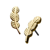 14K Gold Threadless Aria Leaf Top