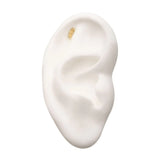 14K Gold Threadless Aria Leaf Top