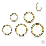 14Kt. Yellow Gold Hinged Segment Ring