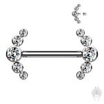 5-CZ Curve Nipple Barbells