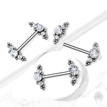 Micro Sphere CZ Cluster Nipple Barbell