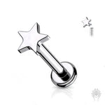 Prong Set Titanium Star Clear Gem Top & Labret Post