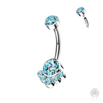 Bezel-Set CZ Cluster Titanium Navel Curve (4 colors)